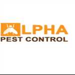 Pest Control Point Cook 